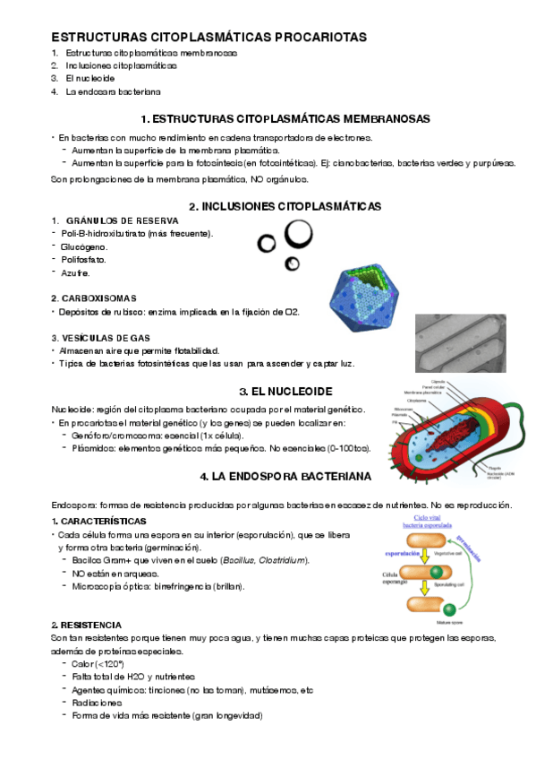 Miniatura del documento 5.pdf