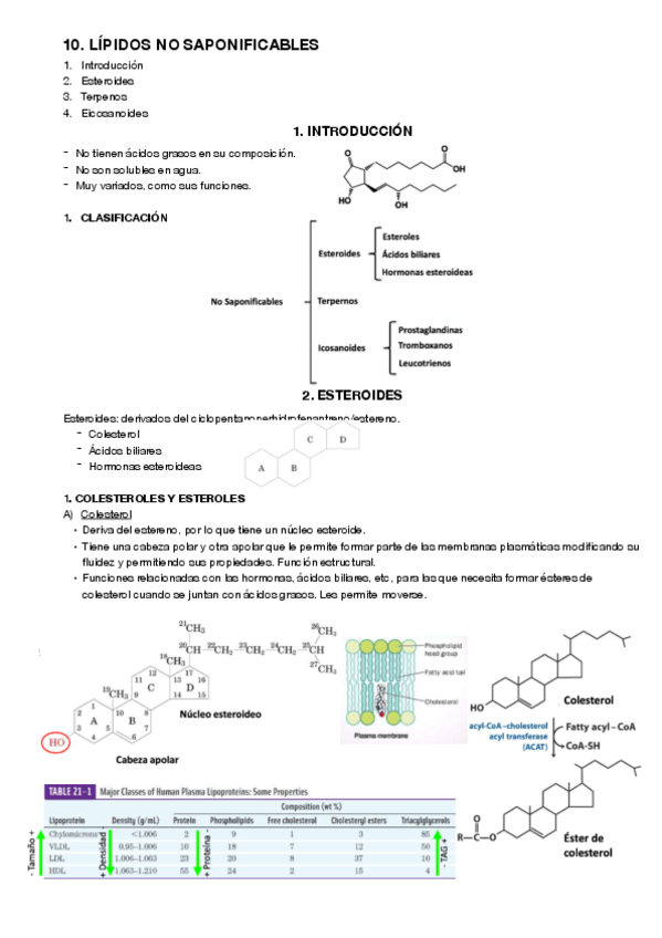 Miniatura del documento 10.pdf