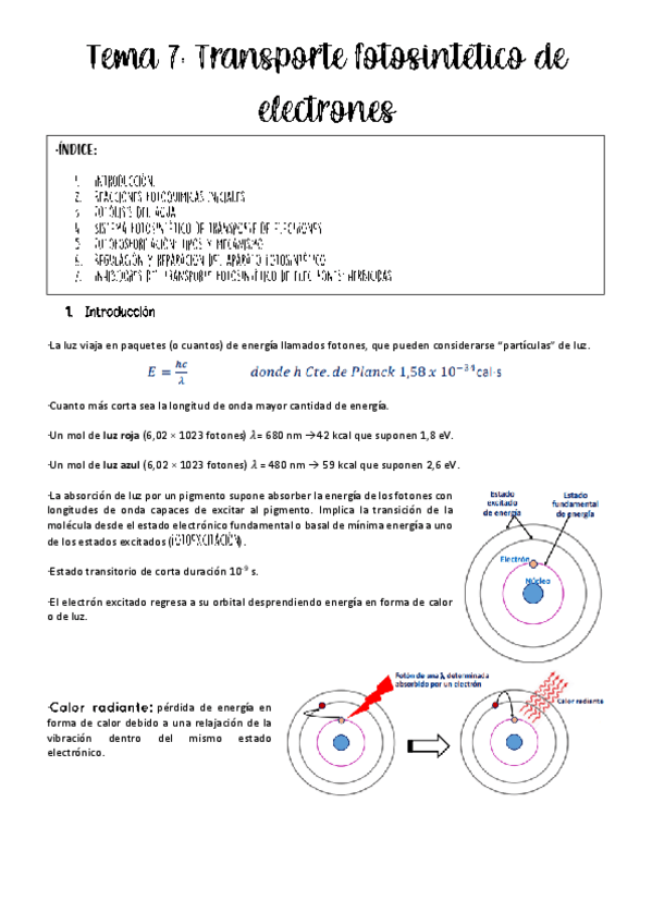 Miniatura del documento Tema-7-fisio-vegetal.pdf