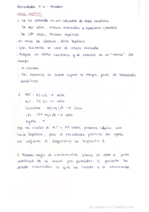 Miniatura del documento Actividades-tema-4-bioq-Berta-Sabao.pdf