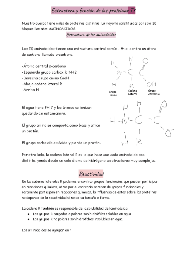 Miniatura del documento Estructura-y-funcion-de-las-proteinas-T3.pdf