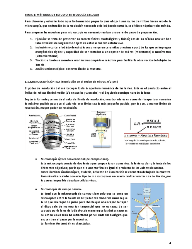 Miniatura del documento Tema-1.pdf