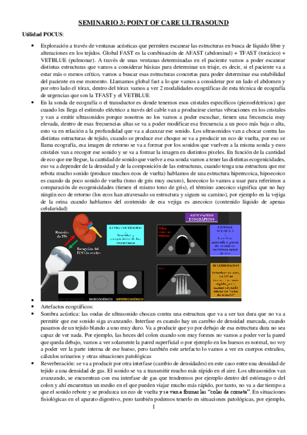 Miniatura del documento SEMINARIO-3-POINT-OF-CARE-ULTRASOUND-URGENCIAS.pdf