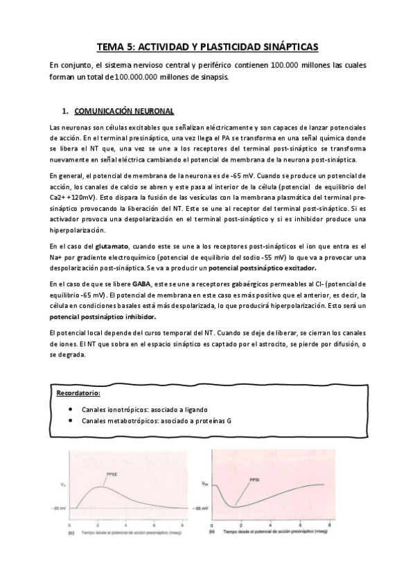 Miniatura del documento Tema-5.pdf