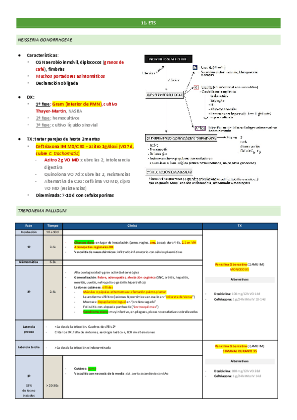 Miniatura del documento 11.pdf