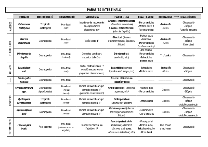 Miniatura del documento TAULA-PARASITS-INTESTINALS.pdf