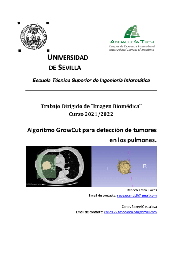 Miniatura del documento TDt.pdf