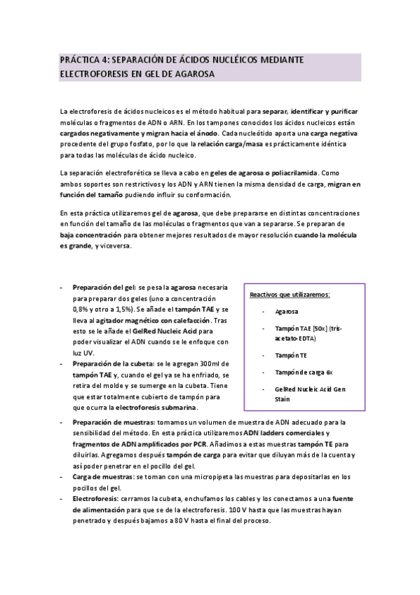Miniatura del documento Practica-4-Lab-Bioq.pdf