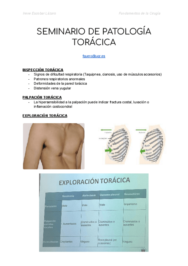 Miniatura del documento SEMINARIO-DE-PATOLOGIA-TORACICA.pdf