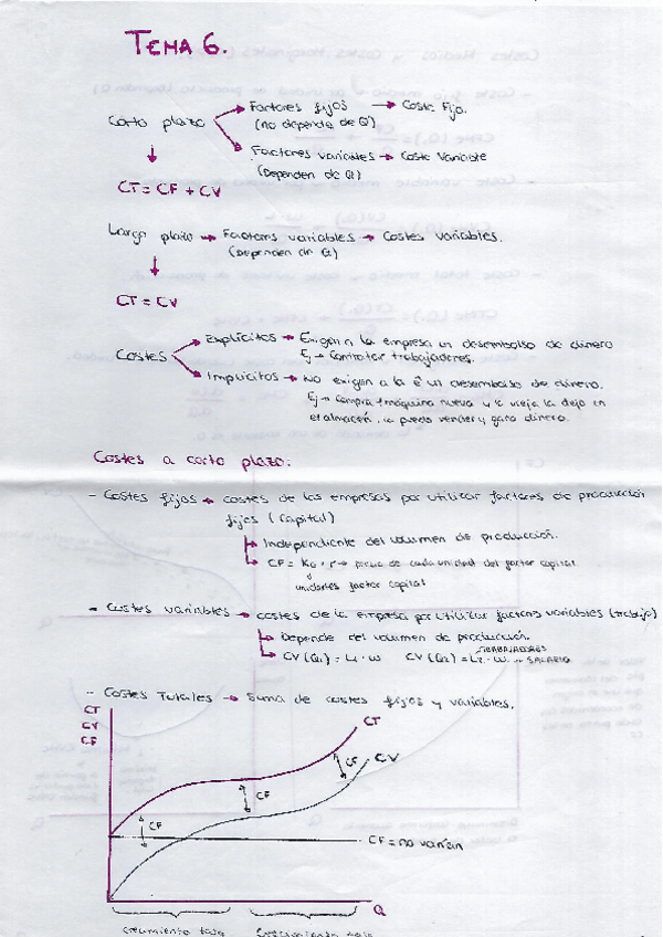 Miniatura del documento Tema 6.pdf