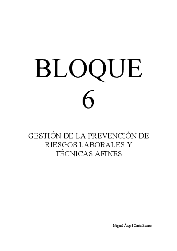 Miniatura del documento CintaBuenoMiguelAngelBloque6.pdf