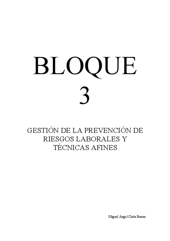 Miniatura del documento CintaBuenoMiguelAngelBloque3.pdf