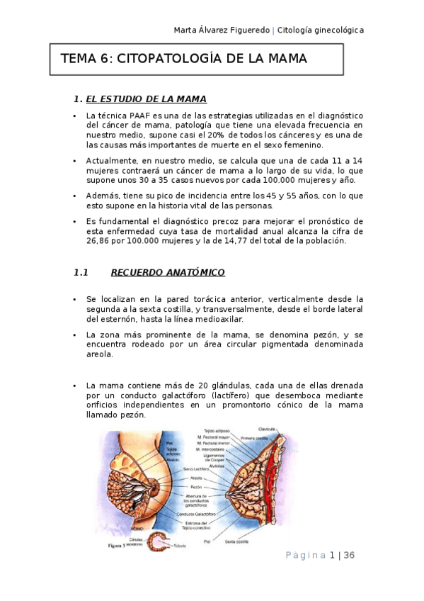 Miniatura del documento Tema-6-word.docx