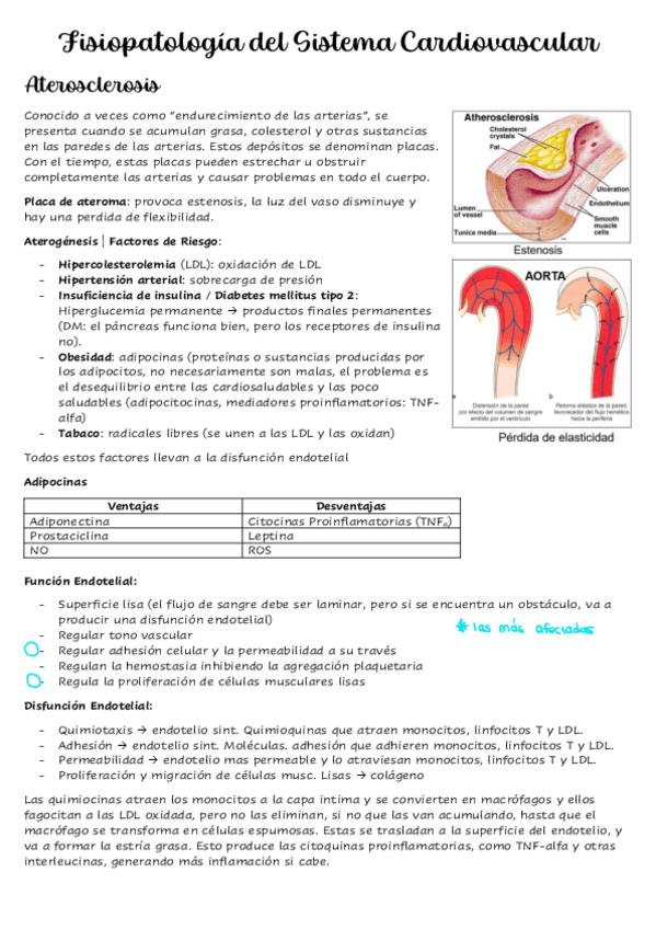 Miniatura del documento Tema-3-Fisiopatologia-del-Sistema-Cardiovascular.pdf