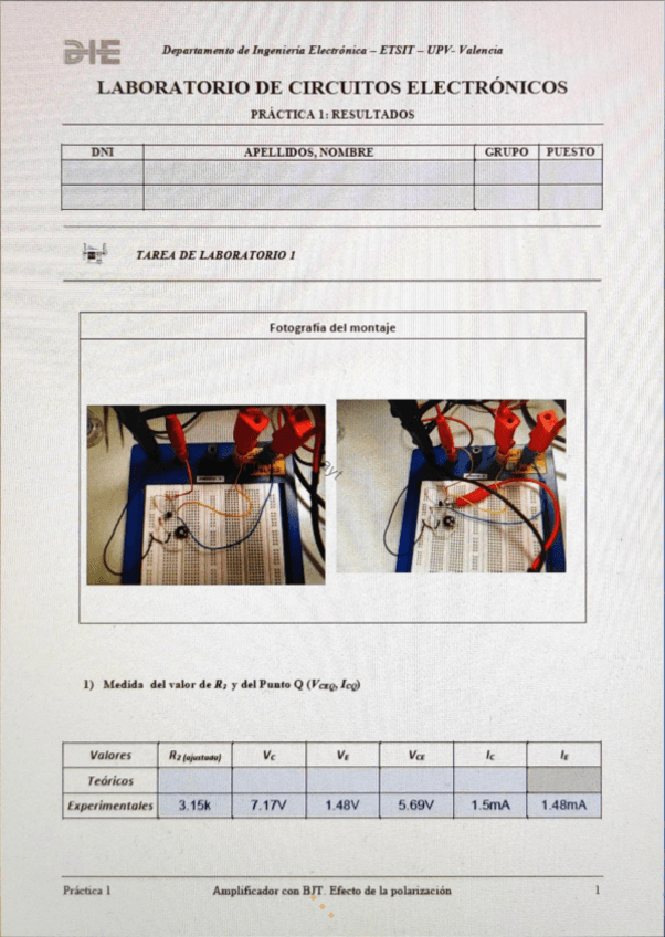 Miniatura del documento p1.pdf