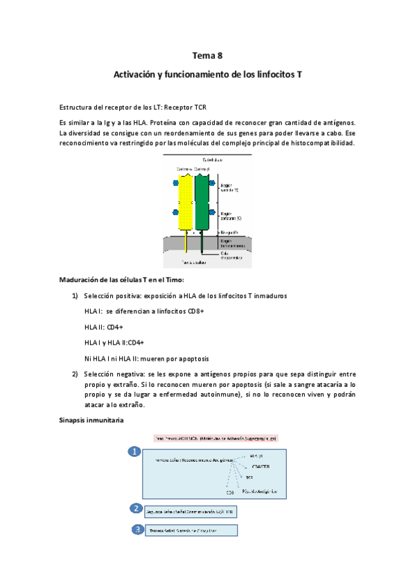 Miniatura del documento Tema 8.pdf