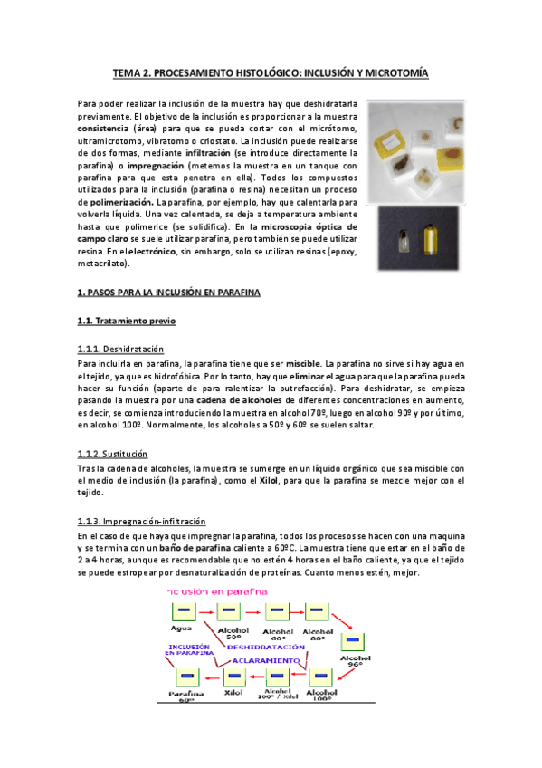 Miniatura del documento TEMA-2.pdf