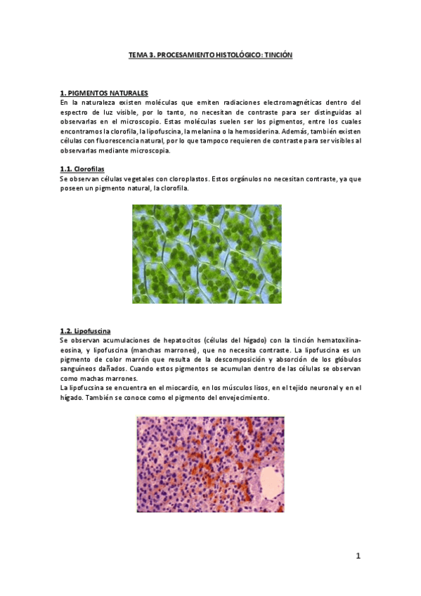 Miniatura del documento Tema-3.pdf