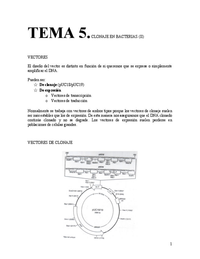 Miniatura del documento Copia-de-Tema-5.pdf