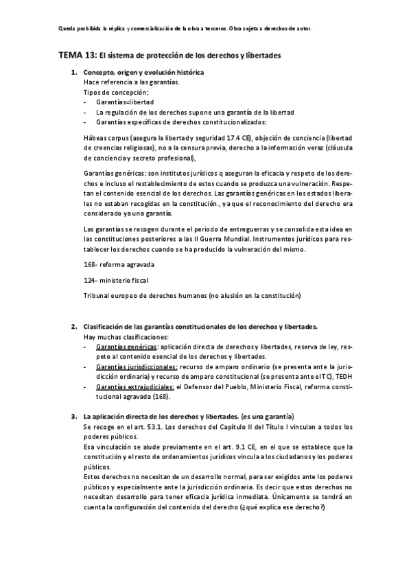 Miniatura del documento Tema-13-El-sistema-de-proteccion-de-los-derechos-y-libertades.pdf