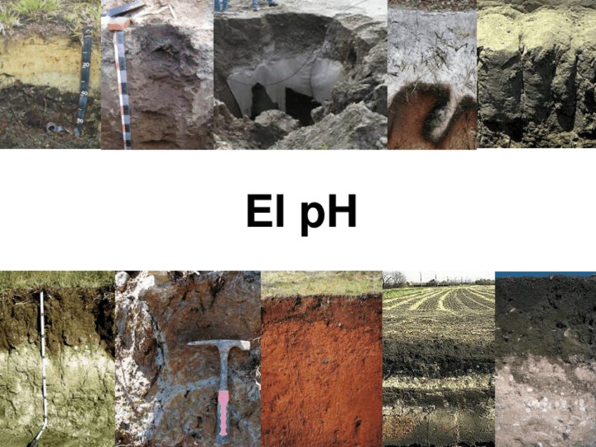 Miniatura del documento T10pH.pdf