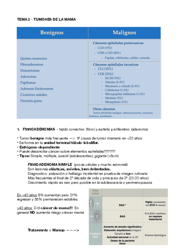 Miniatura del documento Tema-2-Tumores-mama-pdf.pdf