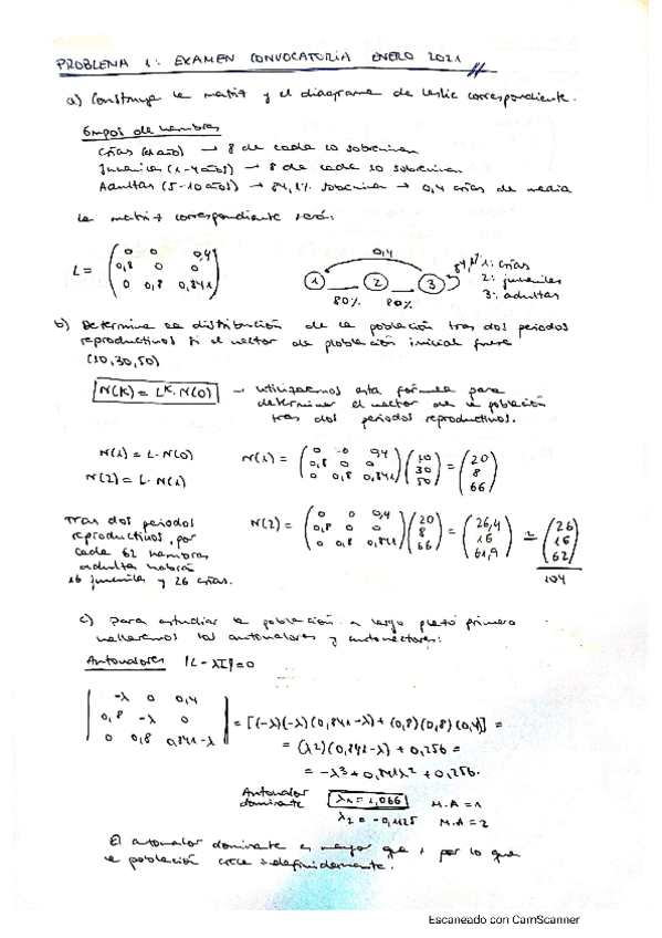 Miniatura del documento Leslie-2021-examen.pdf