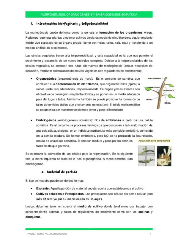 Miniatura del documento TEMA-2-CIV.pdf