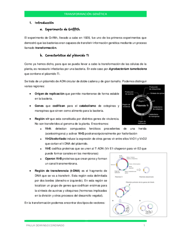 Miniatura del documento TEMA-8-CIV.pdf