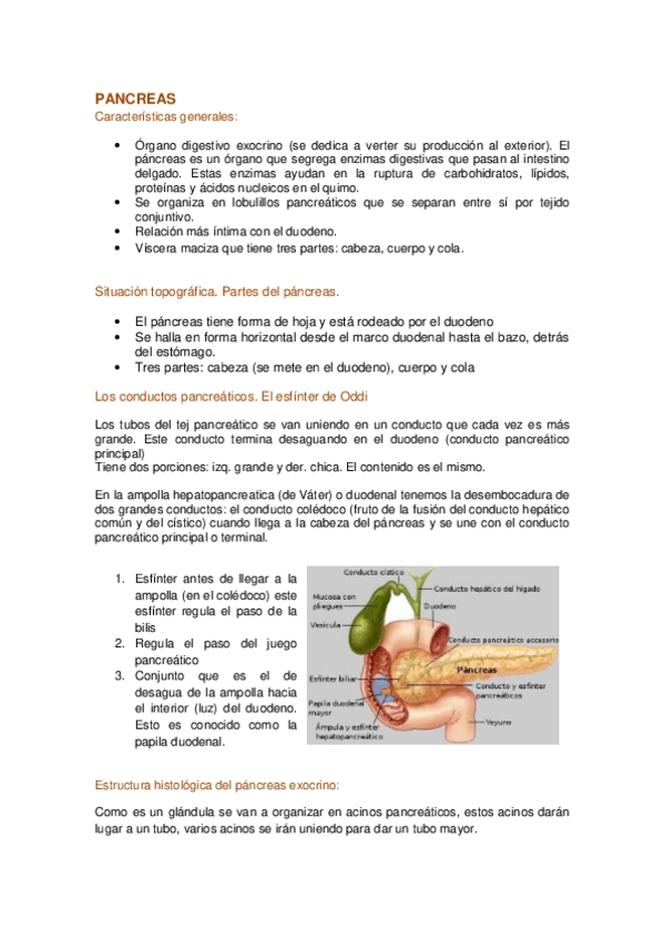 Miniatura del documento 6.PÁNCREAS Y BAZO.pdf