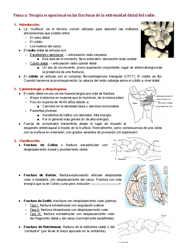 Miniatura del documento Tema-9.pdf