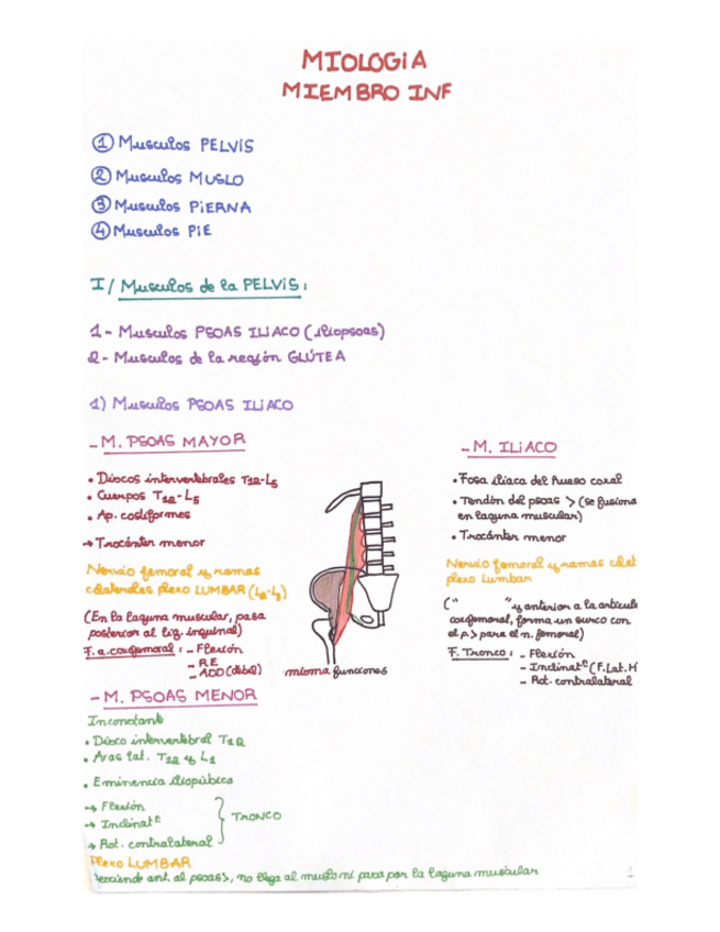 Miniatura del documento MIEMBRO-INF.pdf
