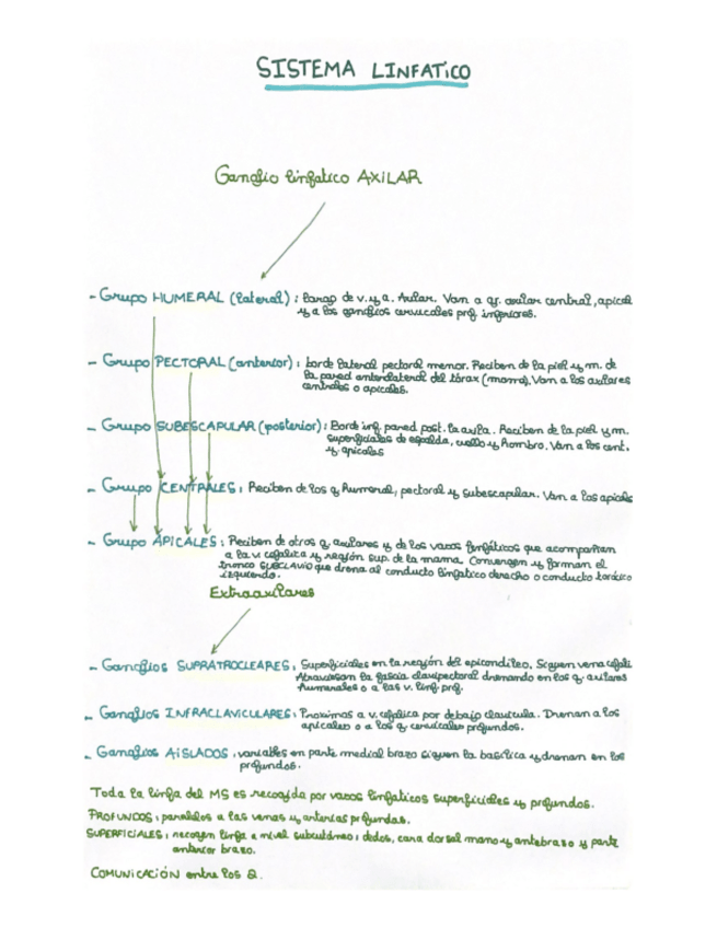 Miniatura del documento SISTEMA-LINFATiCO.pdf