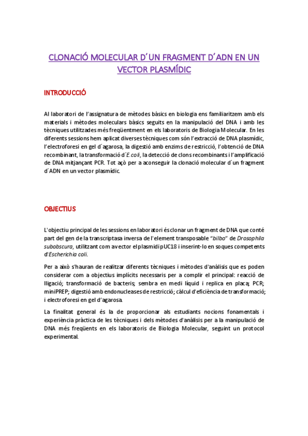 Miniatura del documento Memoria-de-practiques.pdf