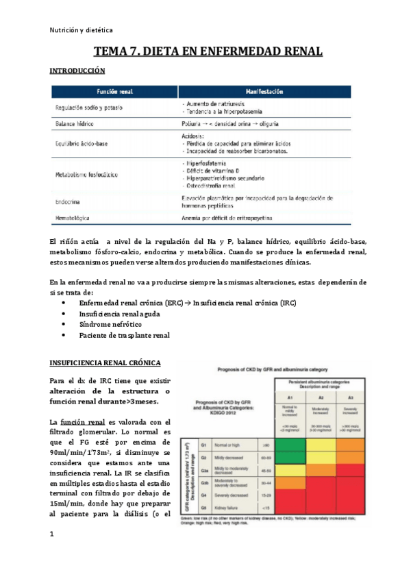 Miniatura del documento tema-7-asesoramiento-nutricional-en-enfermedad-renal.pdf