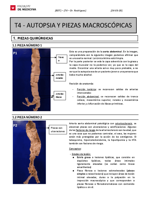 Miniatura del documento Taller-4.pdf