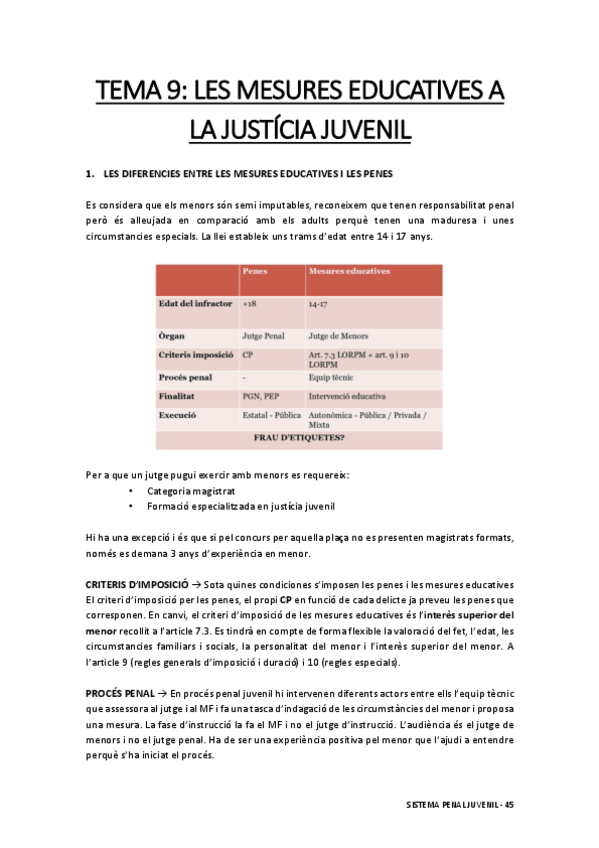 Miniatura del documento Sistema-Penal-Juvenil-Tema-9.pdf