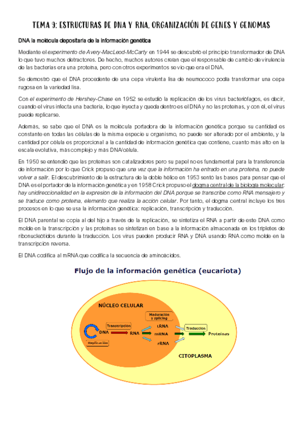 Miniatura del documento TEMA-9.pdf