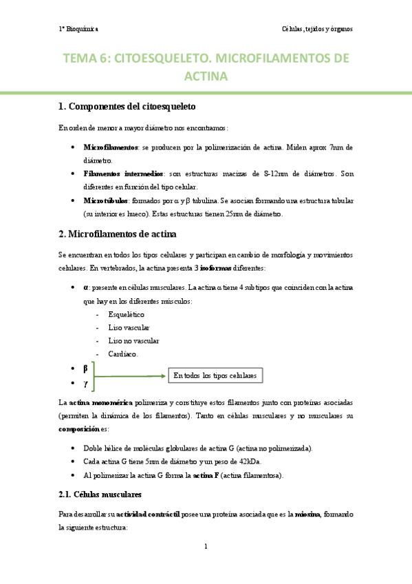 Miniatura del documento TEMA-6.pdf