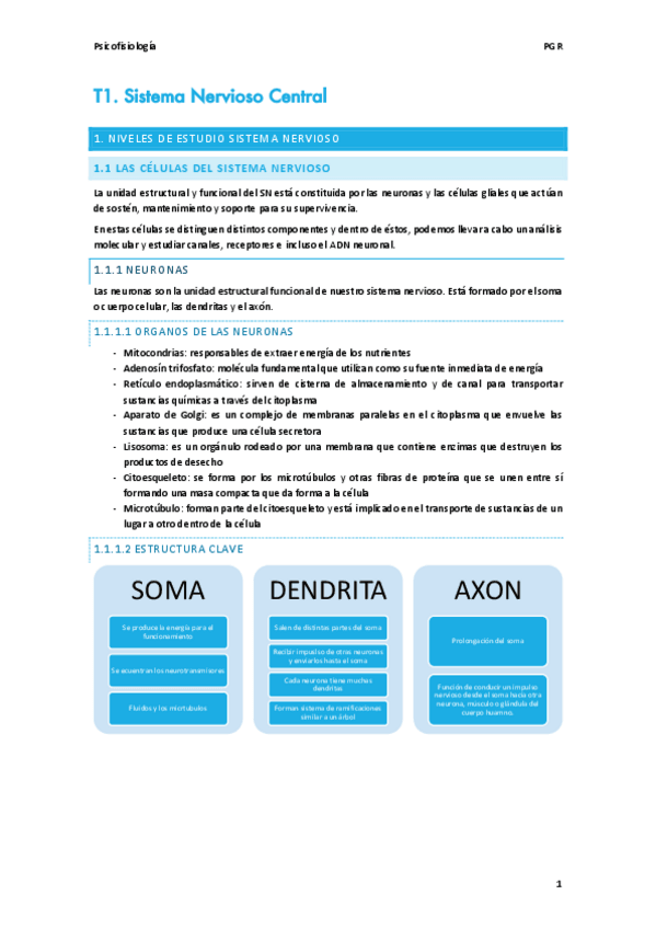 Miniatura del documento T1.pdf