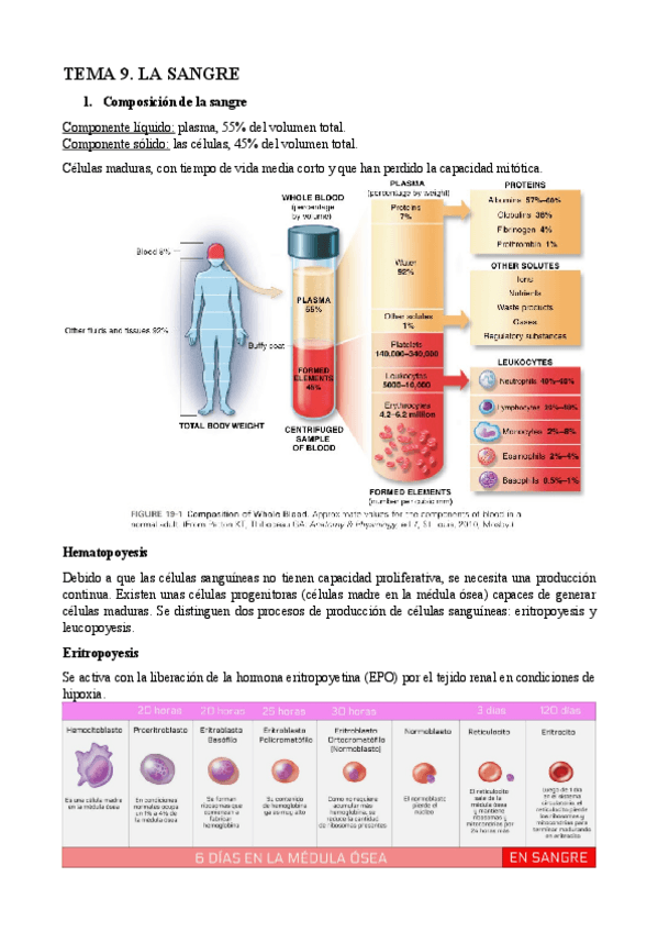 Miniatura del documento Tema-9.pdf