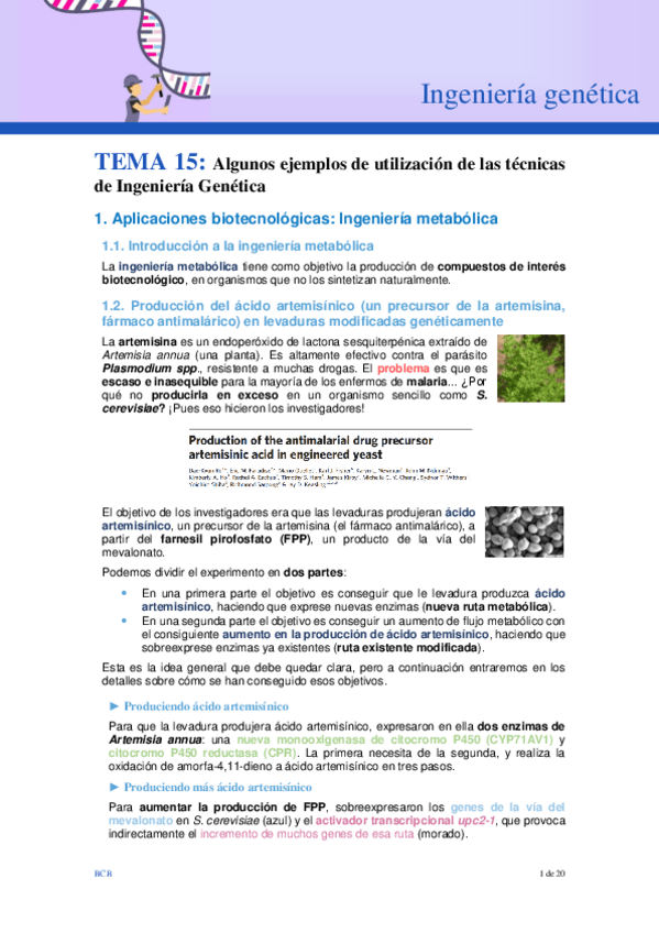 Miniatura del documento Tema-15.-IG.pdf