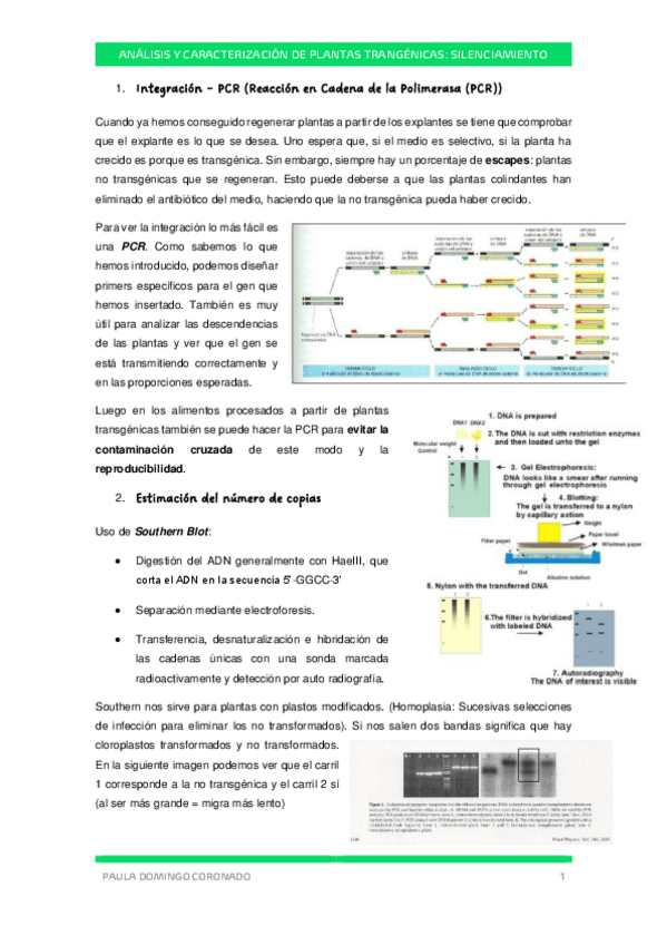 Miniatura del documento TEMA-10-CIV.pdf