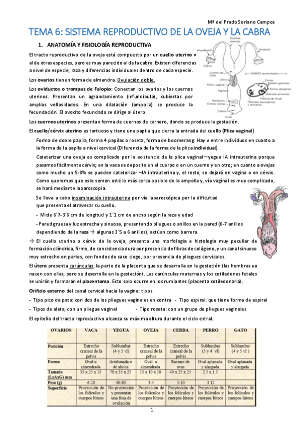 Miniatura del documento 6.pdf
