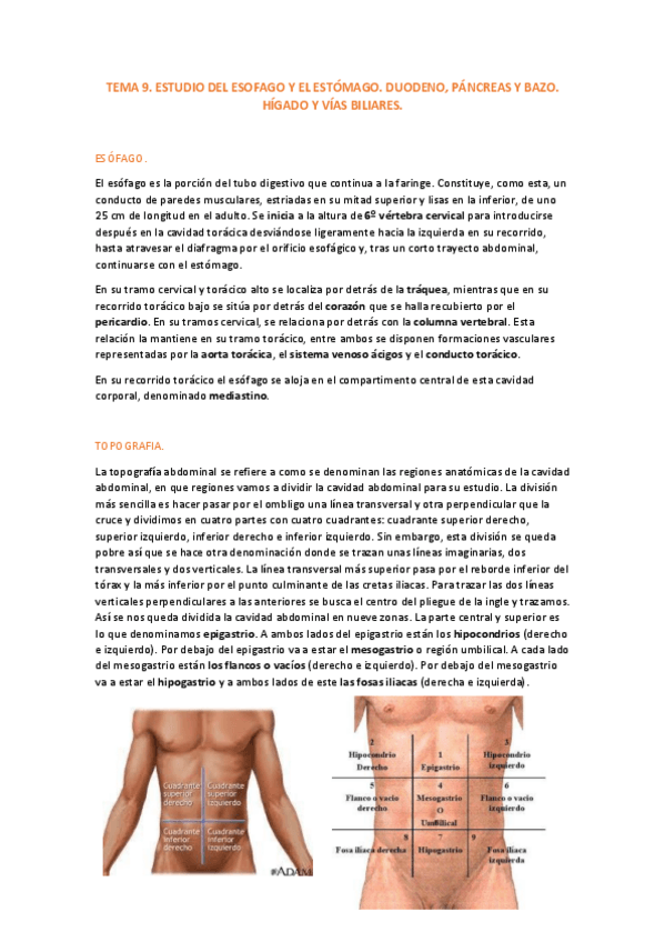 Miniatura del documento TEMA 9.pdf