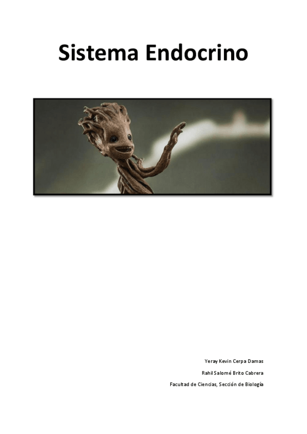 Miniatura del documento Sistema endocrino.pdf