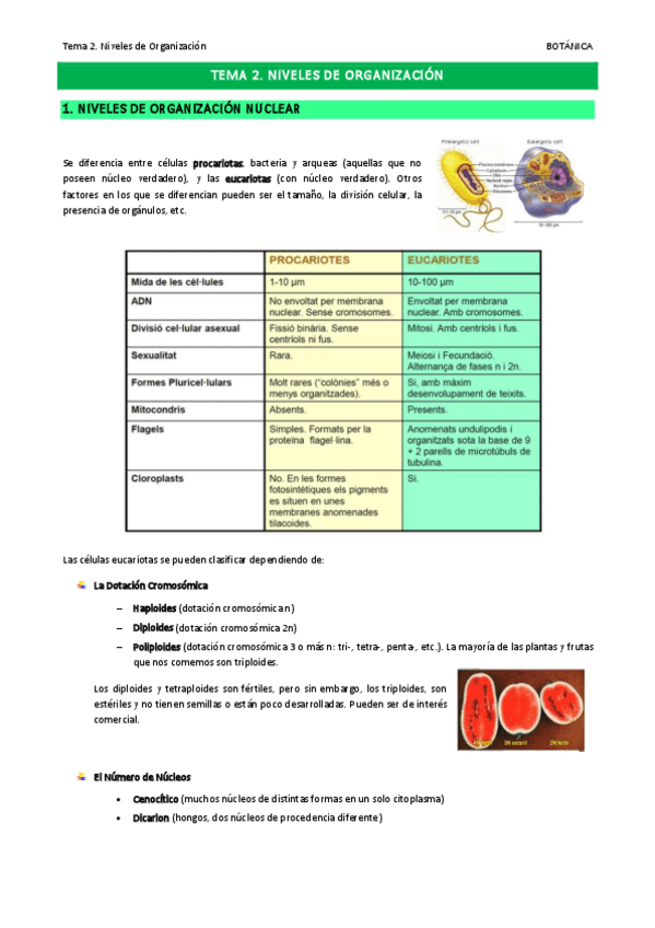 Miniatura del documento Tema-2.pdf