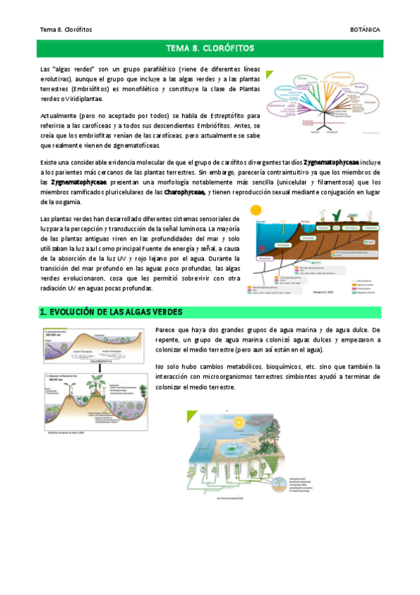 Miniatura del documento Tema-8.pdf