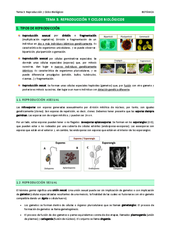Miniatura del documento Tema-3.pdf