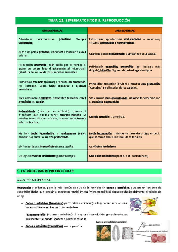 Miniatura del documento Tema-12.pdf